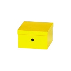 Kutija za odlaganje i arhiviranje UNI Smartbox Pro crna