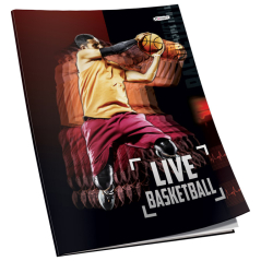 Sveska meki povez A4 linije 50L 80g Premium Connect 40333!!