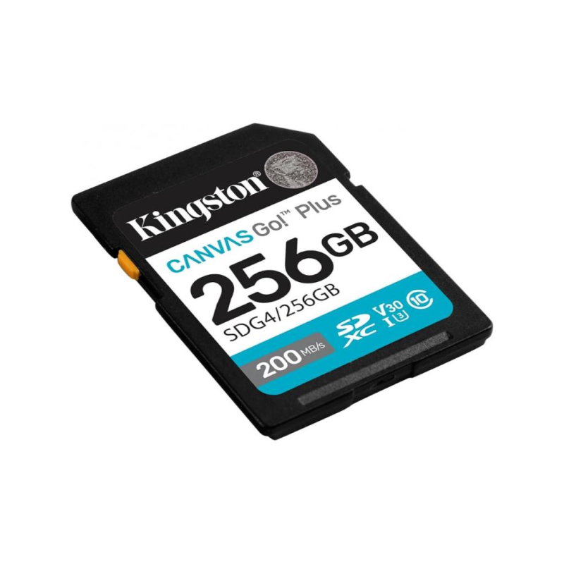 MEMORIJSKA KARTICA KINGSTON SDG4/256GB